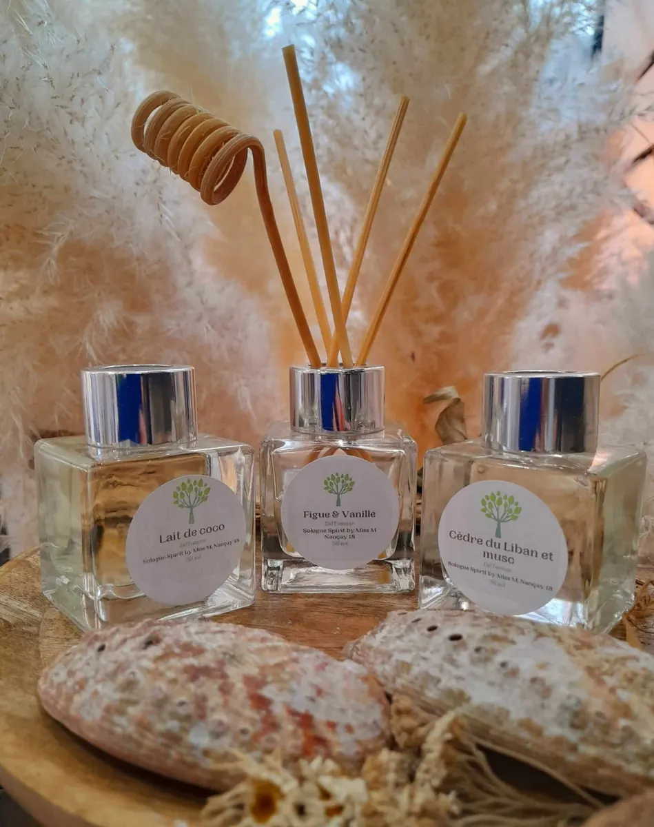 Diffuseur à bâtonnets 50 ml de parfum d'ambiance en cire végétale